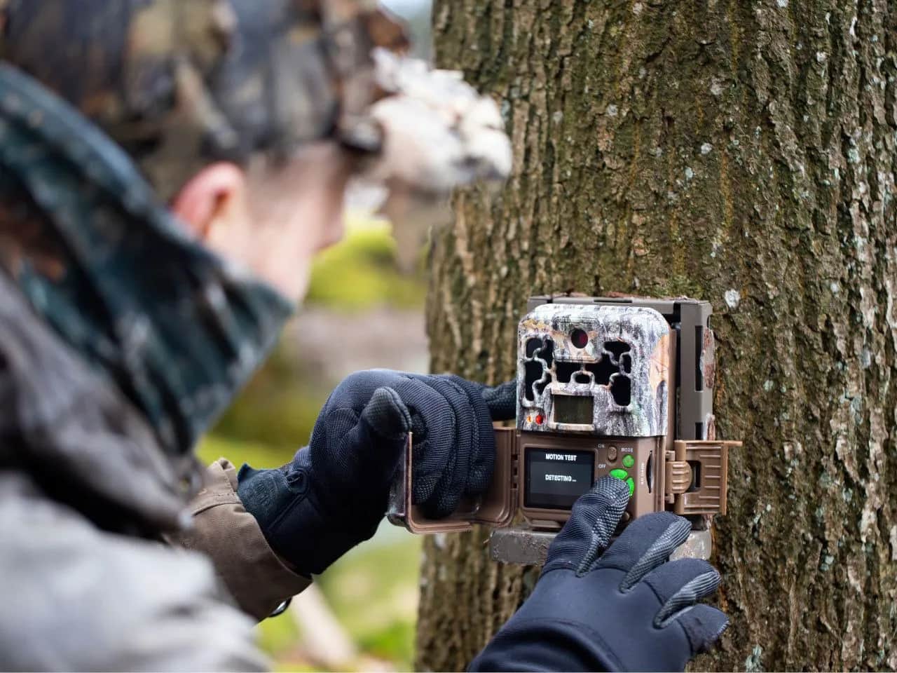 Jaką fotopułapkę na działkę wybrać, by nie żałować wyboru?