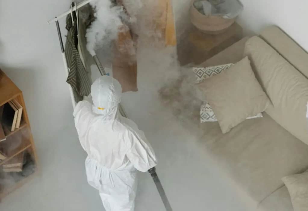 Jak przygotować mieszkanie do dezynfekcji, aby uniknąć problemów z szkodnikami