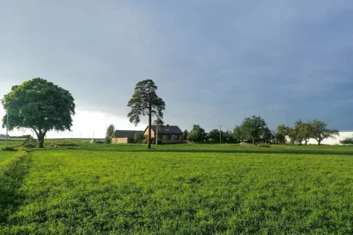 Ile kosztuje odrolnienie działki? Sprawdź, by uniknąć wysokich opłat