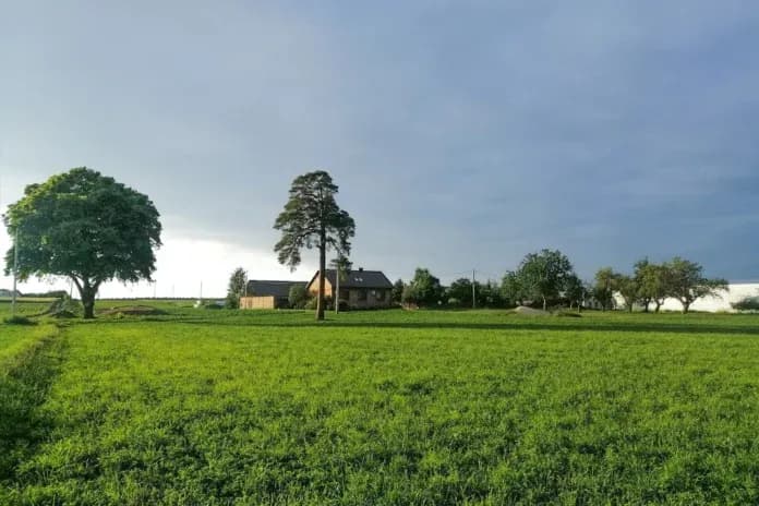 Ile kosztuje odrolnienie działki? Sprawdź, by uniknąć wysokich opłat