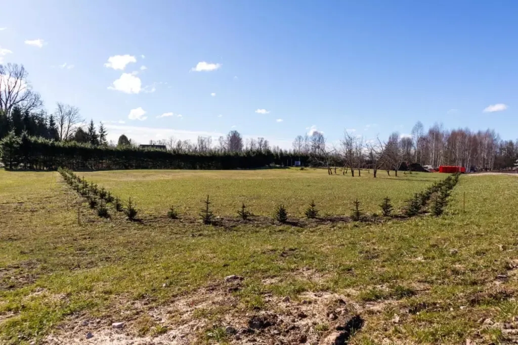 Jak wyznaczyć granice działki i uniknąć kosztownych sporów sąsiedzkich