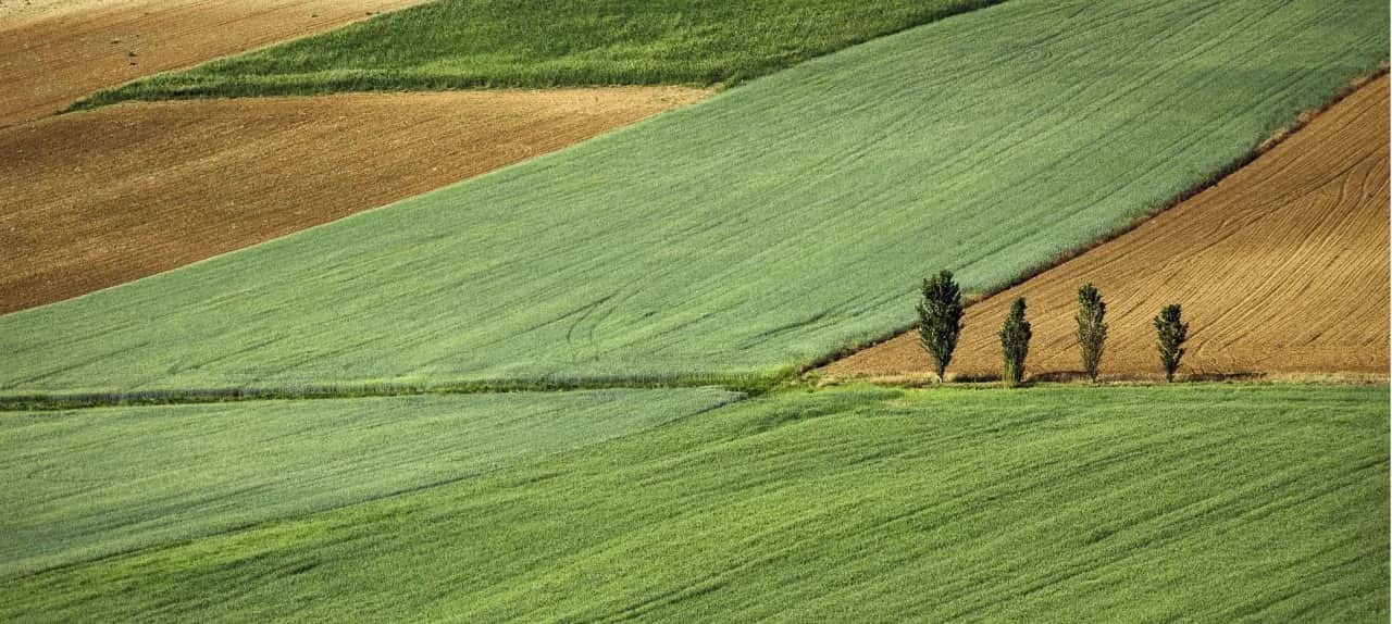Czy nieruchomość jest rzeczą? Zrozumienie prawnej definicji i konsekwencji