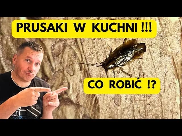 Jak pozbyć się prusaków w bloku – skuteczne metody i porady