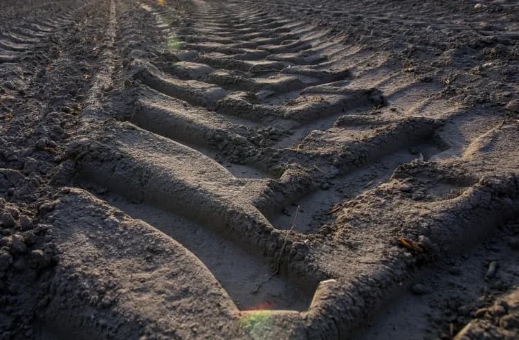 Ile trzeba mieć ziemi, żeby nie płacić podatku od nieruchomości? Oto szczegóły