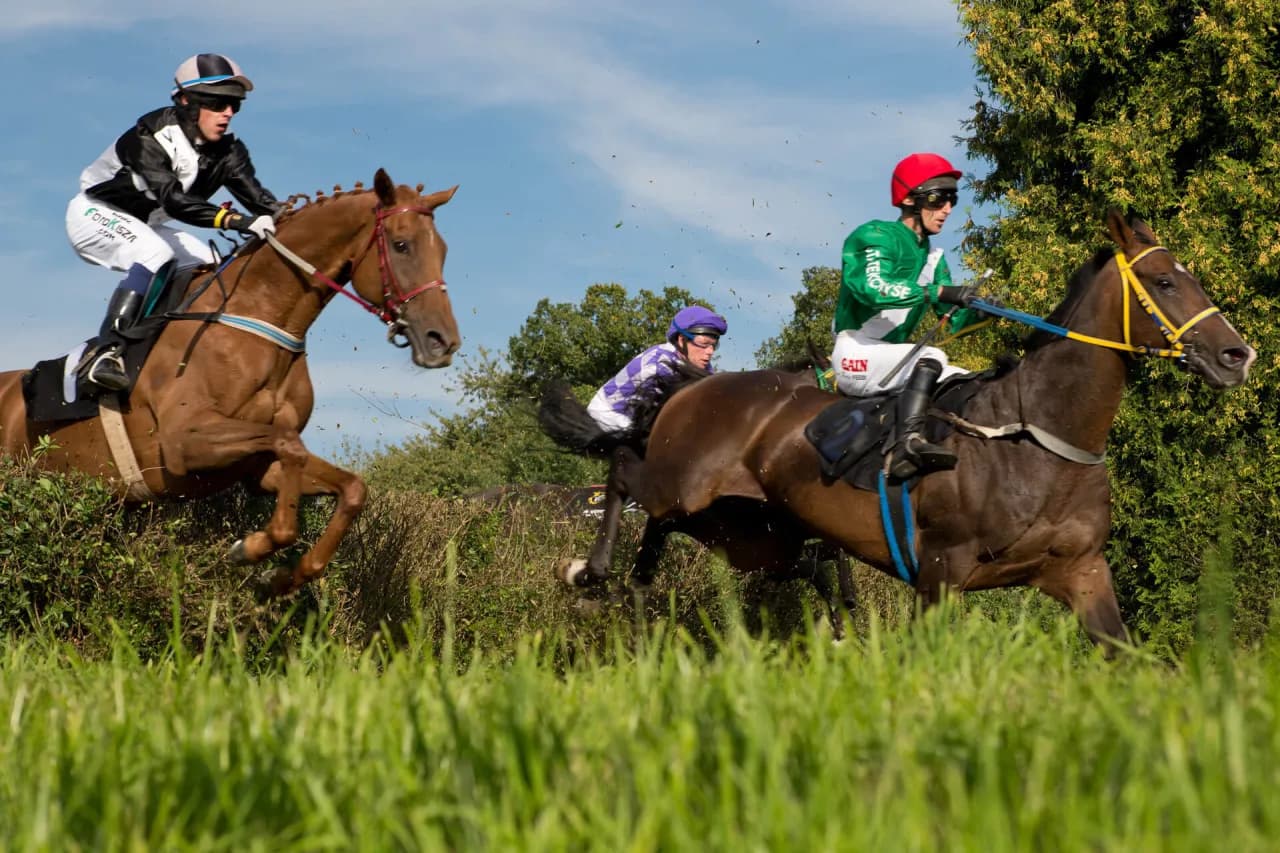 Teren na którym odbywają się gonitwy konne - odkryj najlepsze hipodromy w Polsce