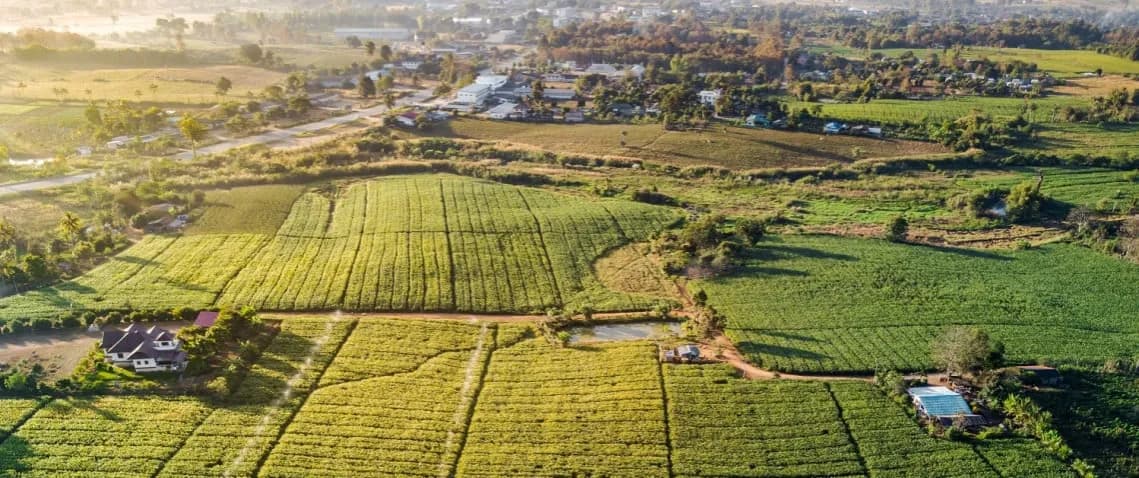 Gdzie wystawić działkę na sprzedaż za darmo i nie przepłacać?